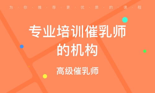 成都家政服務(wù)師 保姆 培訓(xùn)